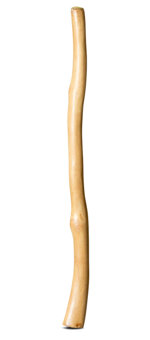 Medium Size Natural Finish Didgeridoo (TW1687)